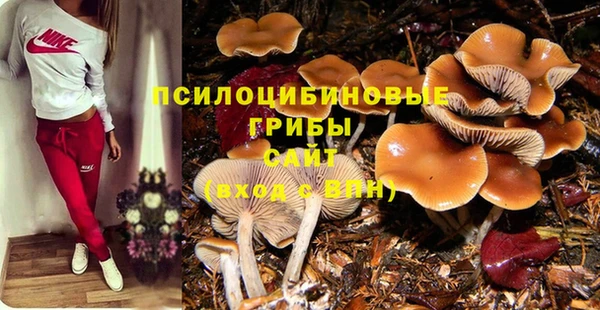 стафф Белоозёрский