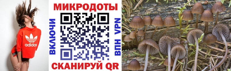 Галлюциногенные грибы мицелий  Шахунья 
